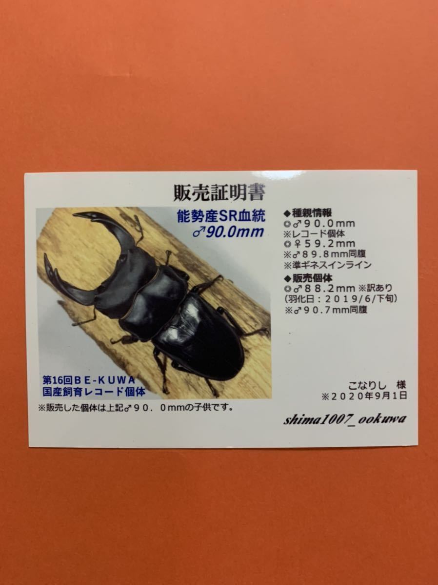 能勢SR血統】♂88.2ミリ（shima氏90.7ミリ同腹）×♀55
