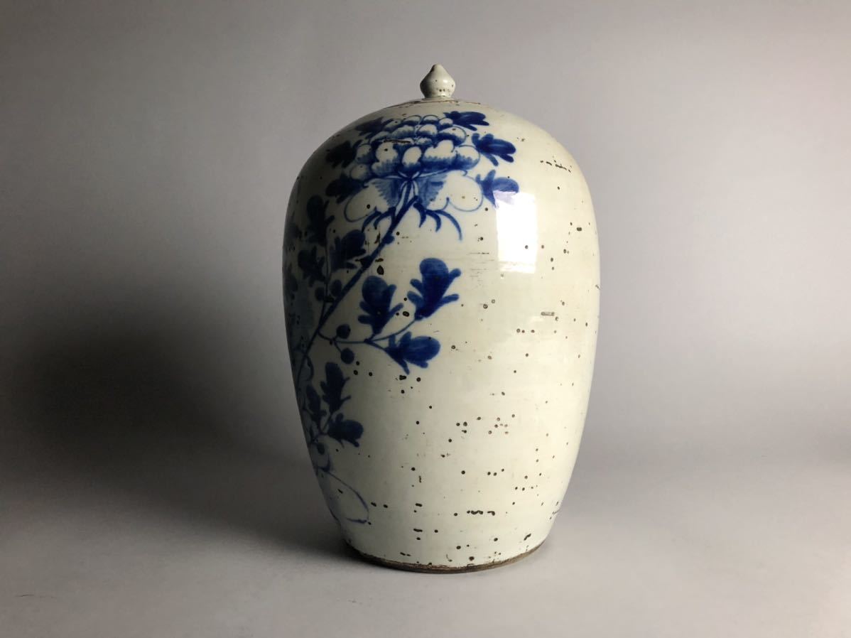 唐物 時代物 花瓶 中国古玩 LL-中国古美術 古染付 花草文 花器 花入 壷 