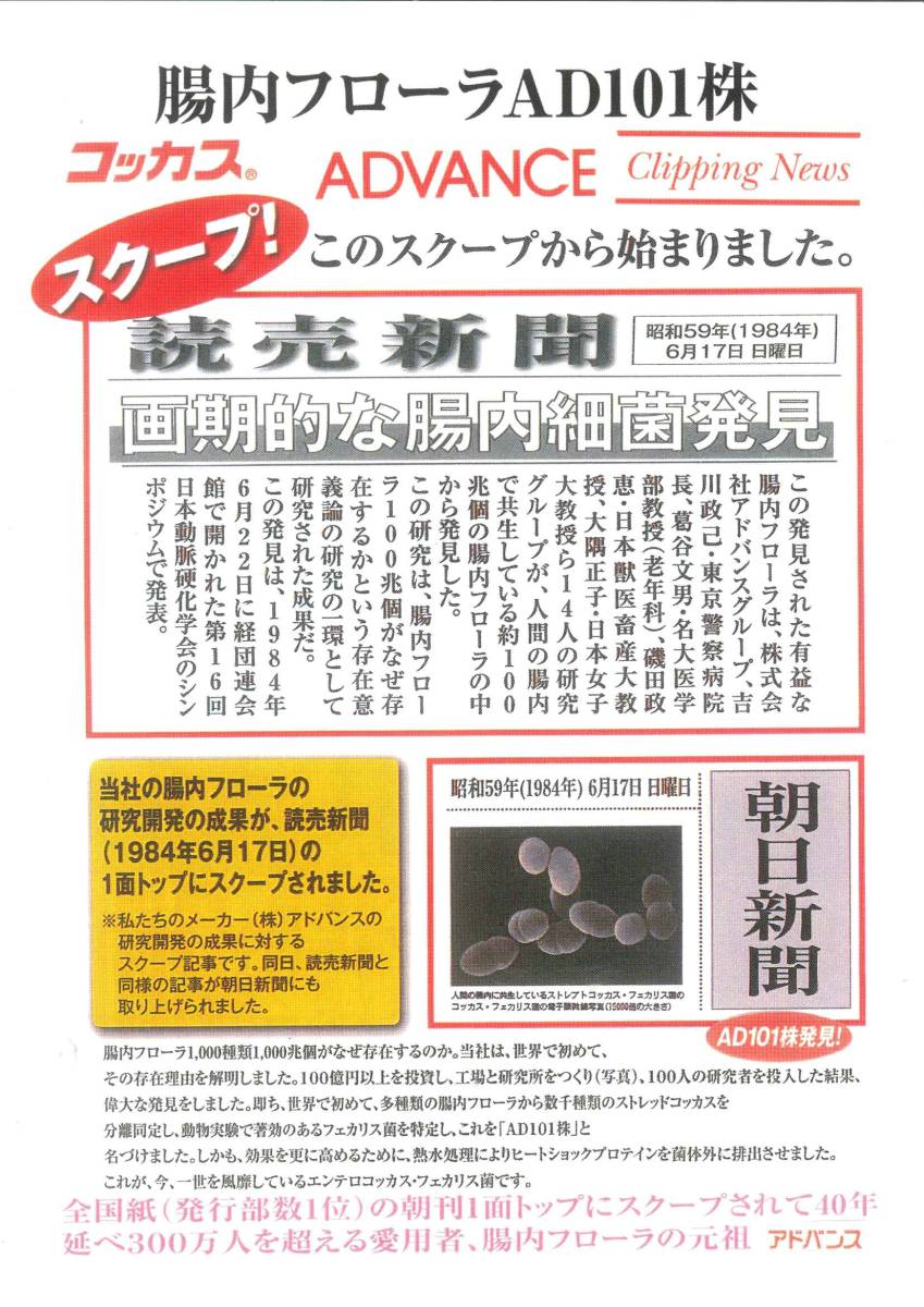 2袋setアミネビタクルクミン*コッカス90粒入x2・アドバンス腸内細菌