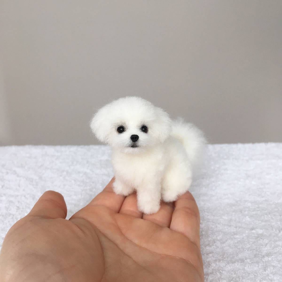 羊毛フェルト　マルチーズ　犬　ハンドメイド　ミニチュア 羊毛フェルト マルチーズ 犬 ハンドメイド ミニチュア - メルカリ