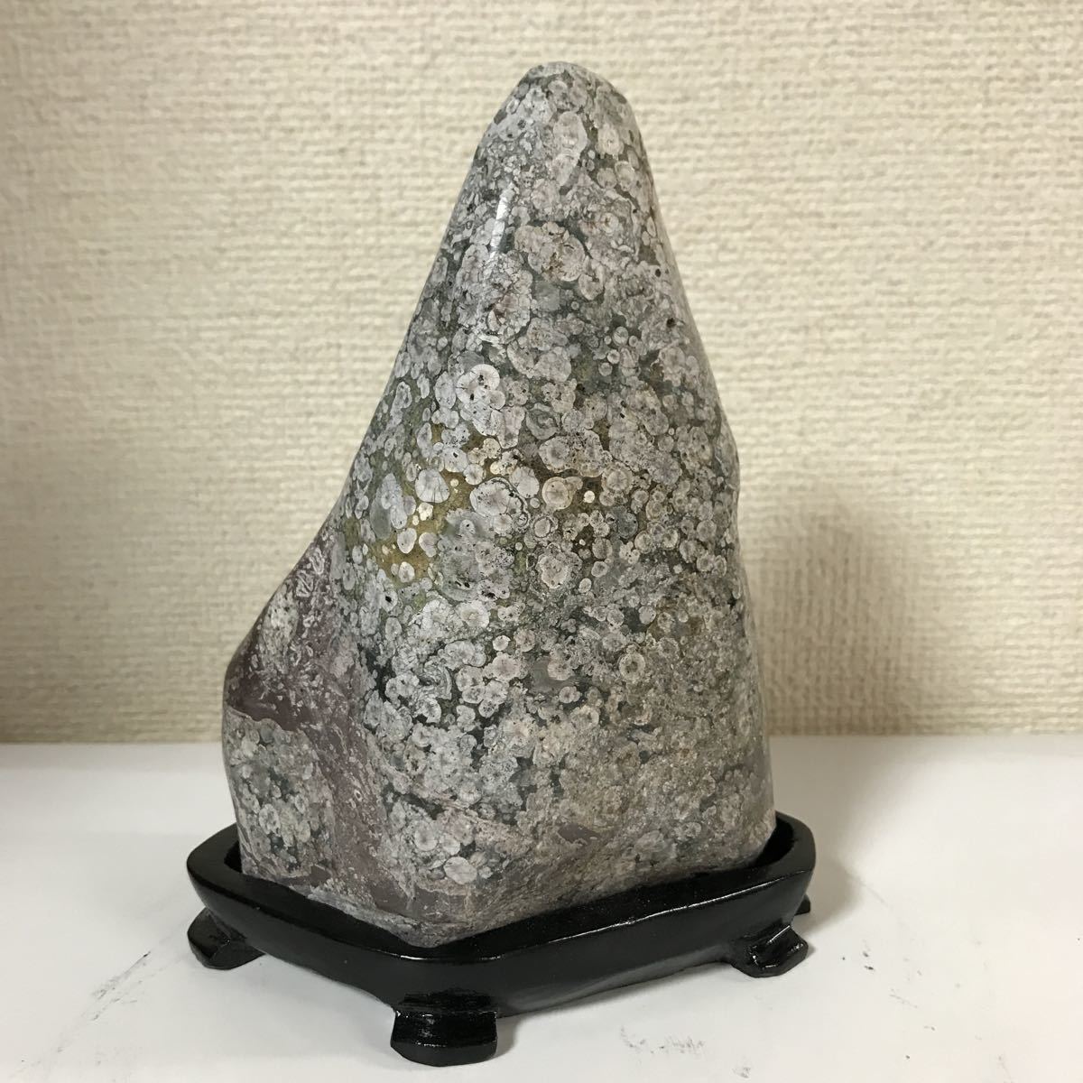 鑑賞石 梅花石 水石 公式通販 小矢部川梅花石 | 小矢部川産 梅花石1