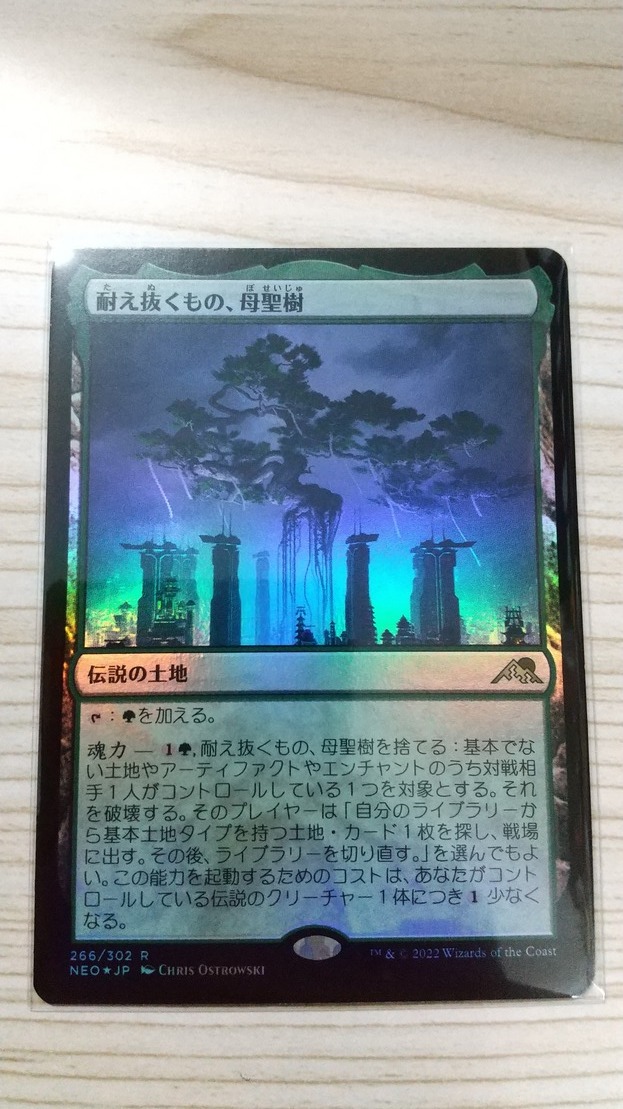 定番，人気SALE MTG 耐え抜くもの 母聖樹/Boseiju Who Endures FOIL 日版 神河 コレクター版 在庫：２(シングルカード)｜売買されたオークション情報、yahooの商品情報をアーカイブ公開 - オークファン ノーマルカード