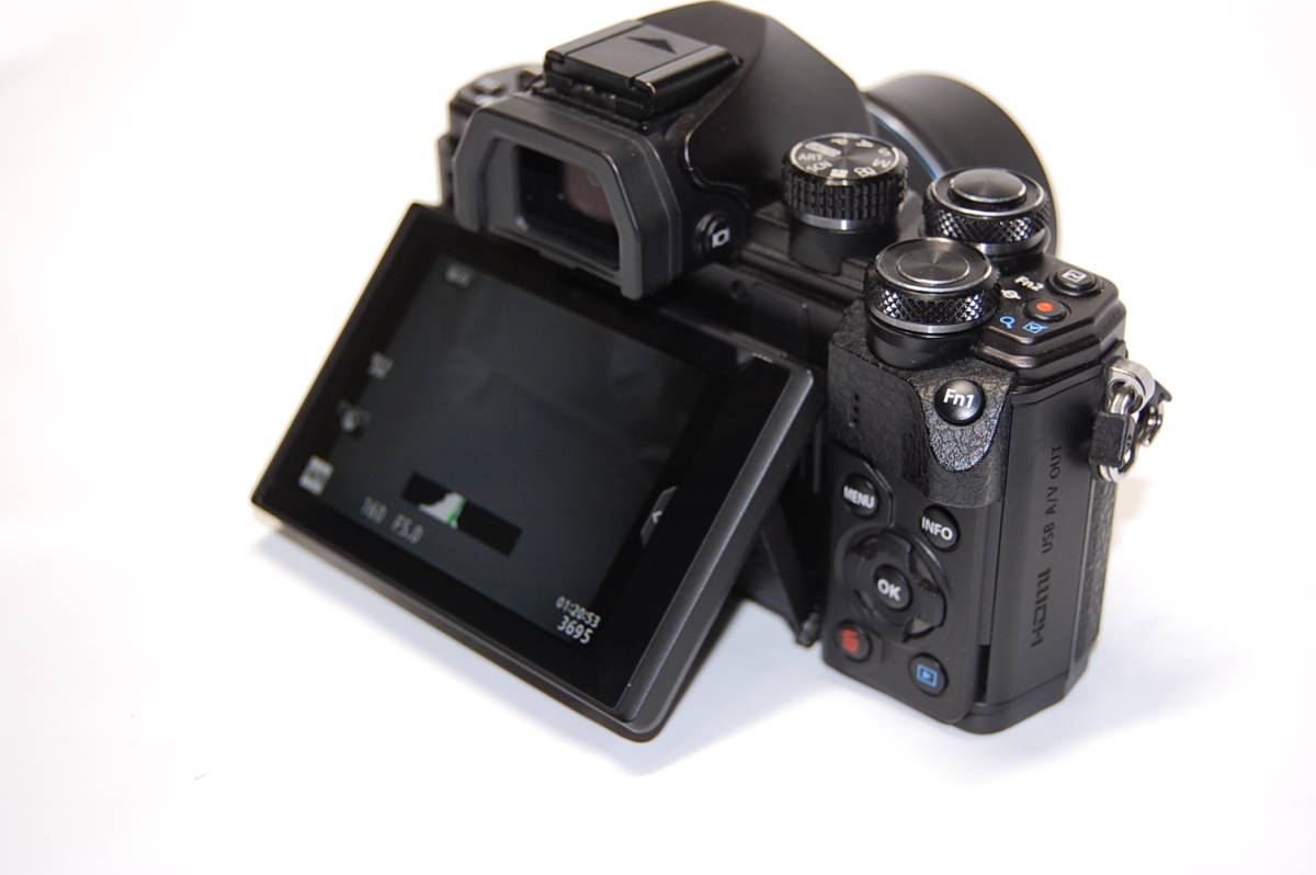 動作品 OLYMPUS オリンパス OM-D E-M10 Mark II ボディ　シャッター数5500 E-M10 OM-D OLYMPUS m10 正常動作品 ☆オリンパス