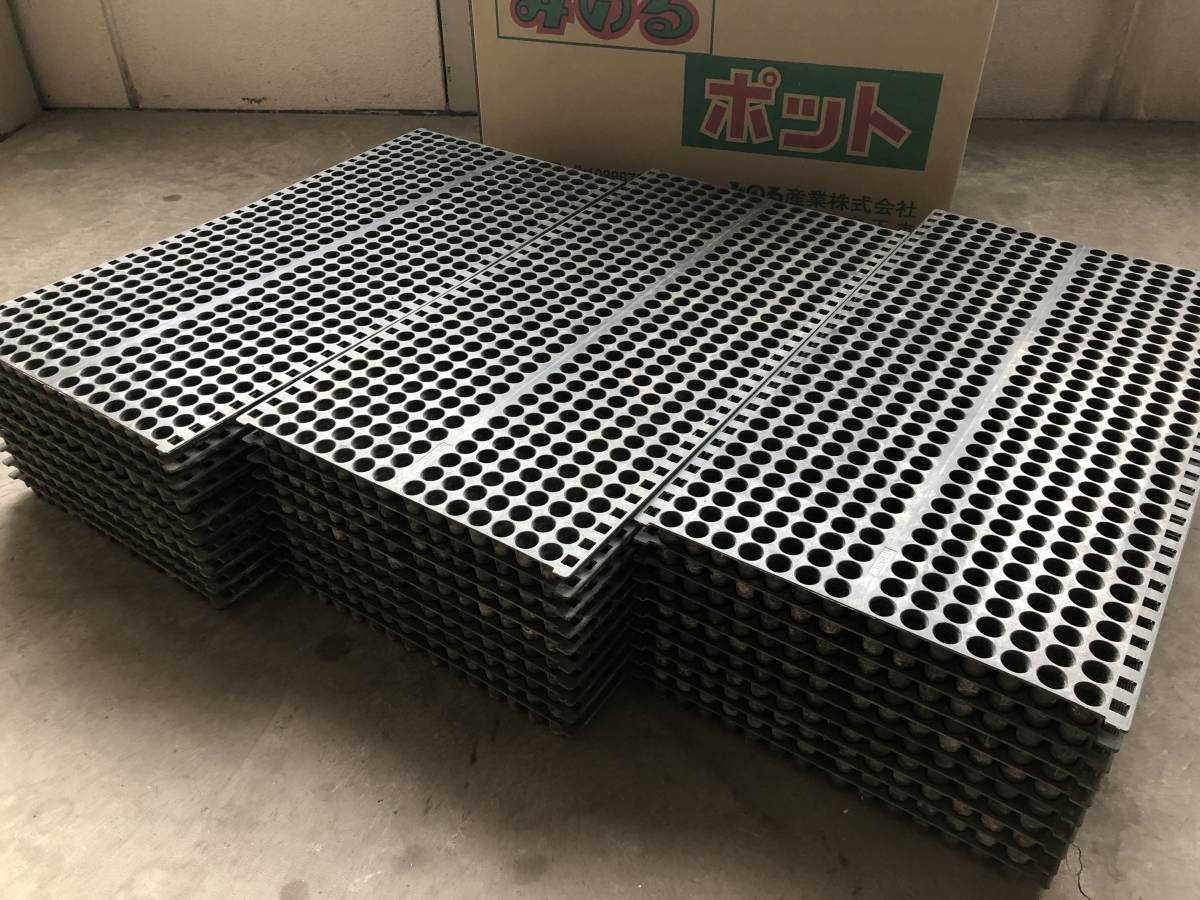 みのる　ポット　中古　30枚 みのる ポット苗箱 30枚セット 448穴 ポット タマネギ 田植 育苗箱