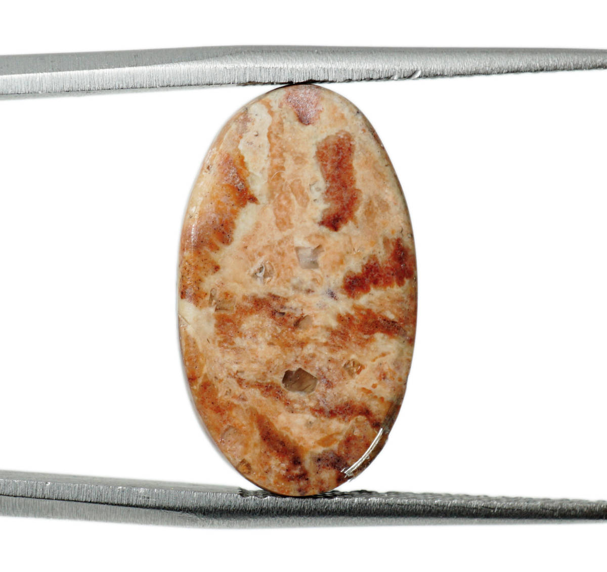 注目！ 定価50万○天然カンテラオパール 最高級 特大 14.40ct メキシコ 
