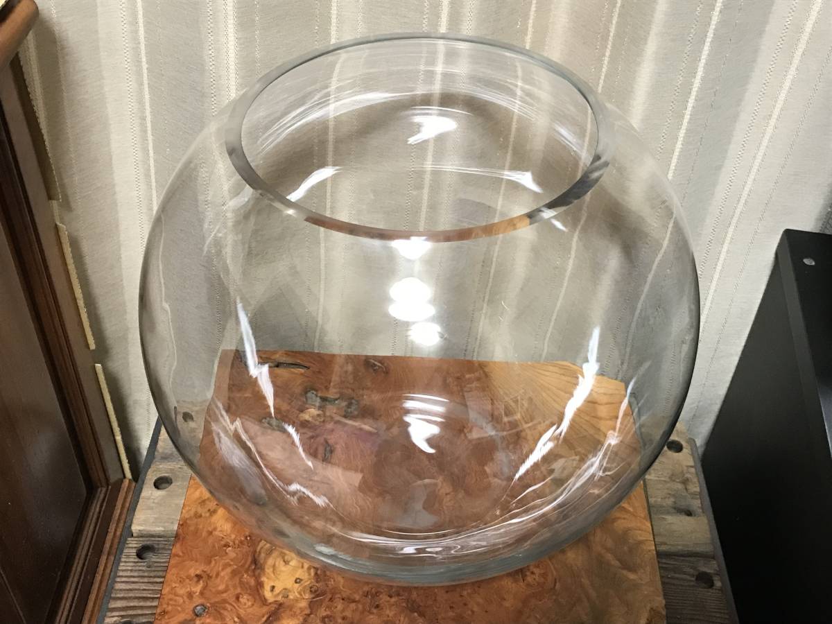 新品，新作 大型のクリアガラス ボール型 円形/テラリウム/店舗什器/花器/小物入れ/ディスプレイ/飾り等 T 14-A%(缶)｜売買されたオークション情報、yahooの商品情報をアーカイブ公開 - オークファン 缶