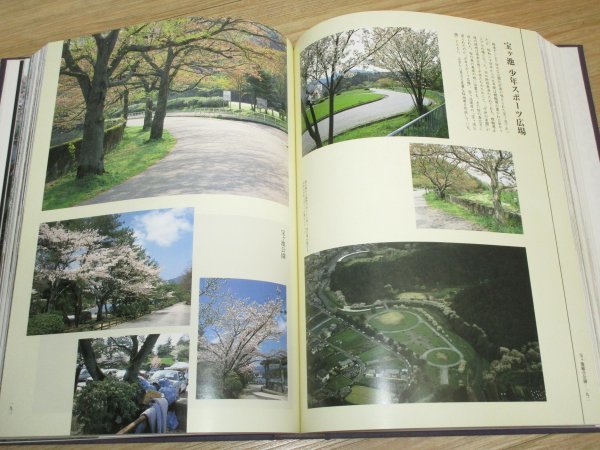 佐野藤右衛門邸の桜 佐野 |本 通販 京の桜 - あの人に会いたい 桜守