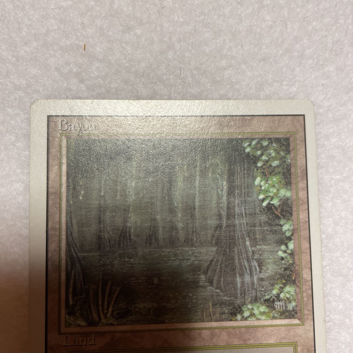 MTG Bayou リバイズド （英） 【公式通販】