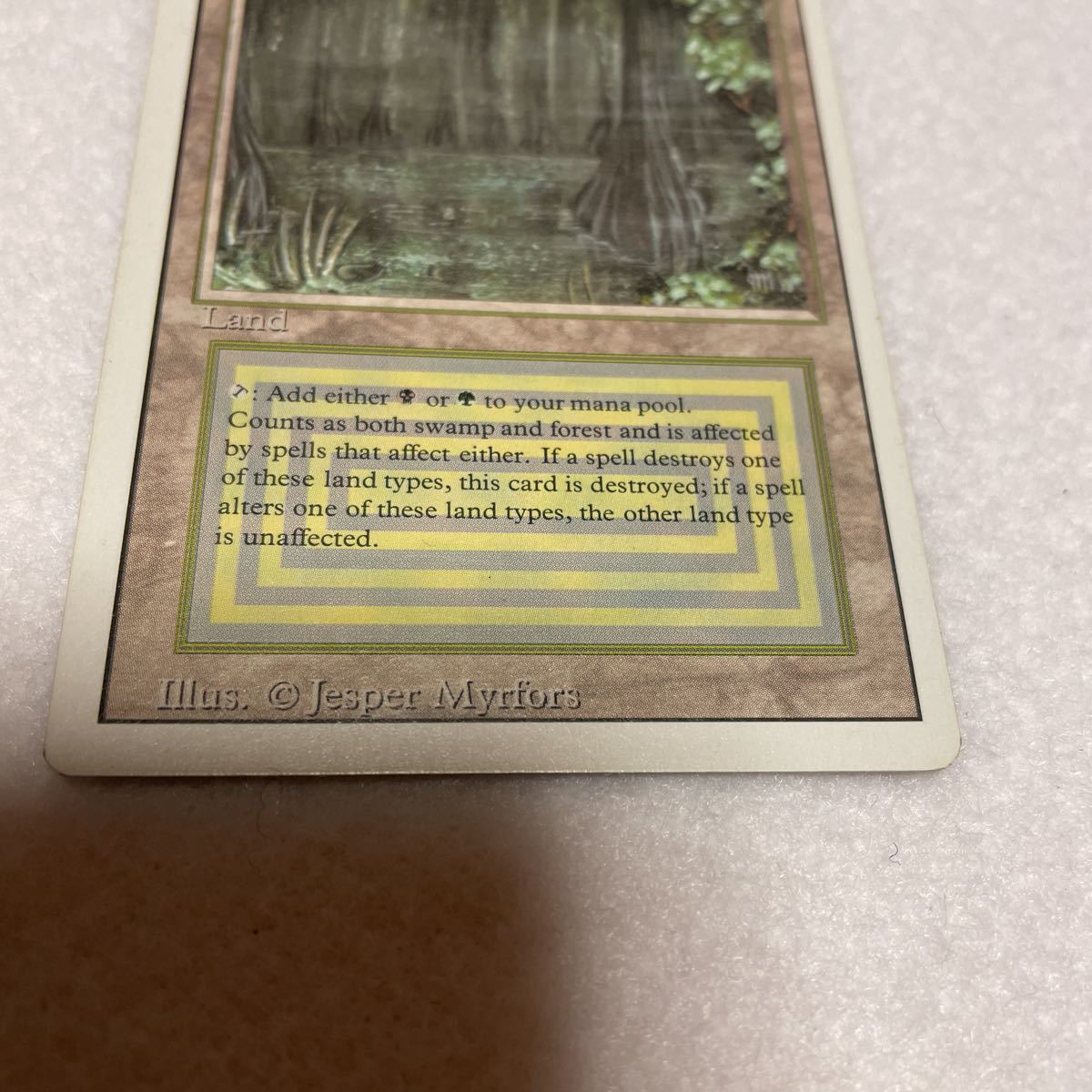 MTG Bayou リバイズド 英語1枚 MTG Bayou リバイズド （英） 【公式通販】