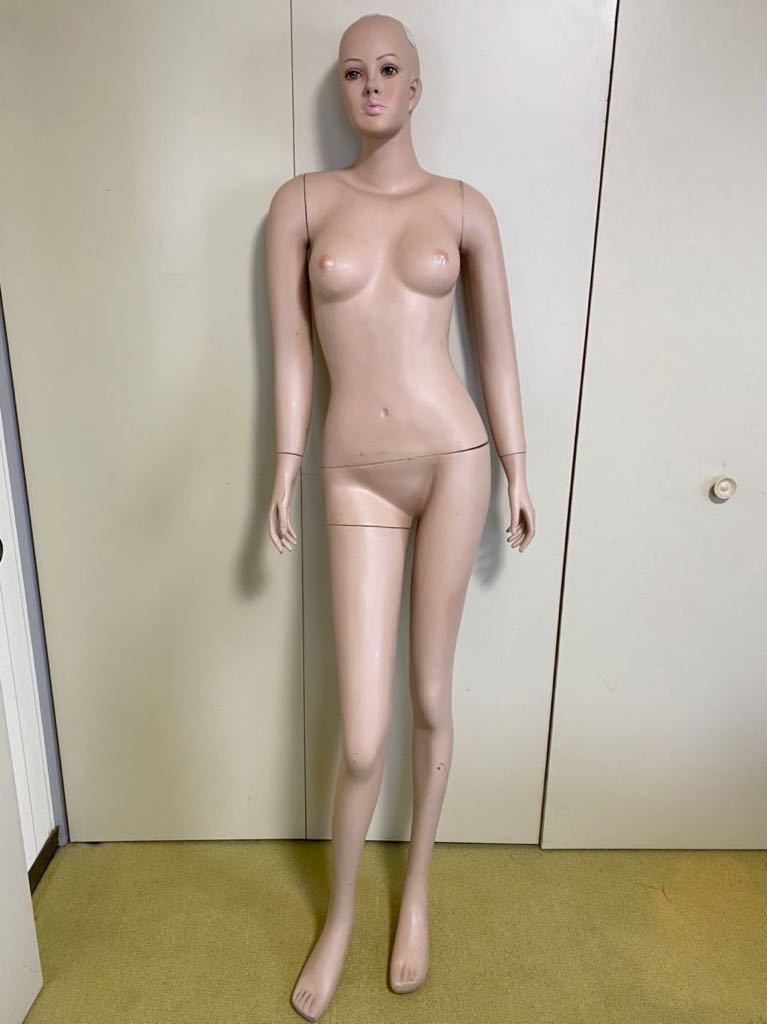 レディース マネキン 女性 全身マネキン トルソー 女性 170cm ボディ