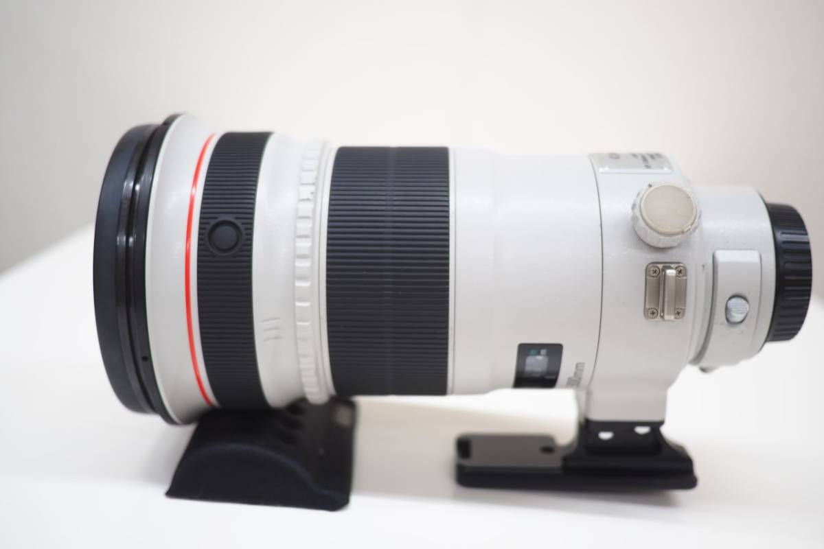 Canon 300mm EF IS USM II Lens f⁄2.8L Review L f⁄2.8 - :