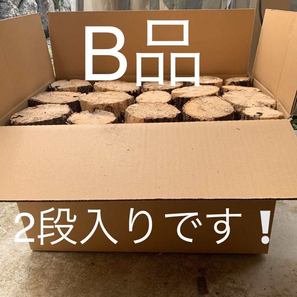 超激得，正規品 No.① 産卵木B品 110サイズの箱にびっしり入ってます オオクワガタ メタリフェル(止まり木、ほだ木)｜売買されたオークション情報、yahooの商品情報をアーカイブ公開 - オークファン 止まり木、ほだ木