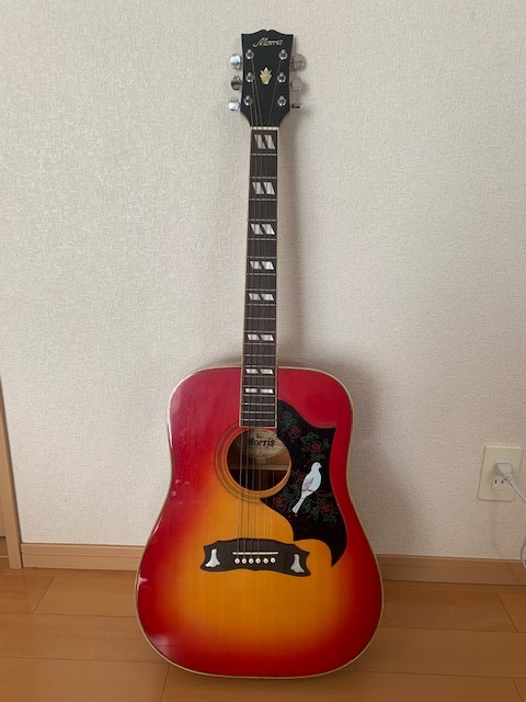 Morris WD-30 日本製 Doveスタイル ハードケース付 モーリス