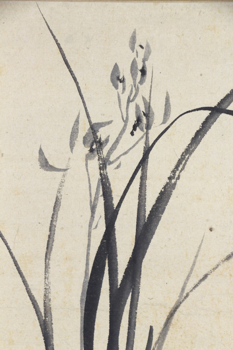 真作 山下青厓箱書】掛軸「渡辺崋山 墨蘭図」江戸後期 田原藩士 画家 