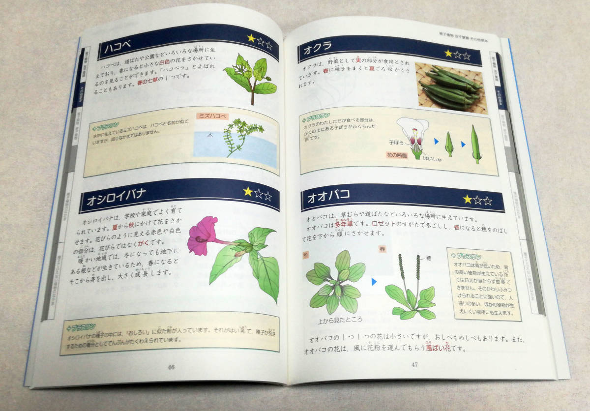 未使用・未記入】Z会中学受験シリーズ 入試に出る植物図鑑 改訂版☆Z