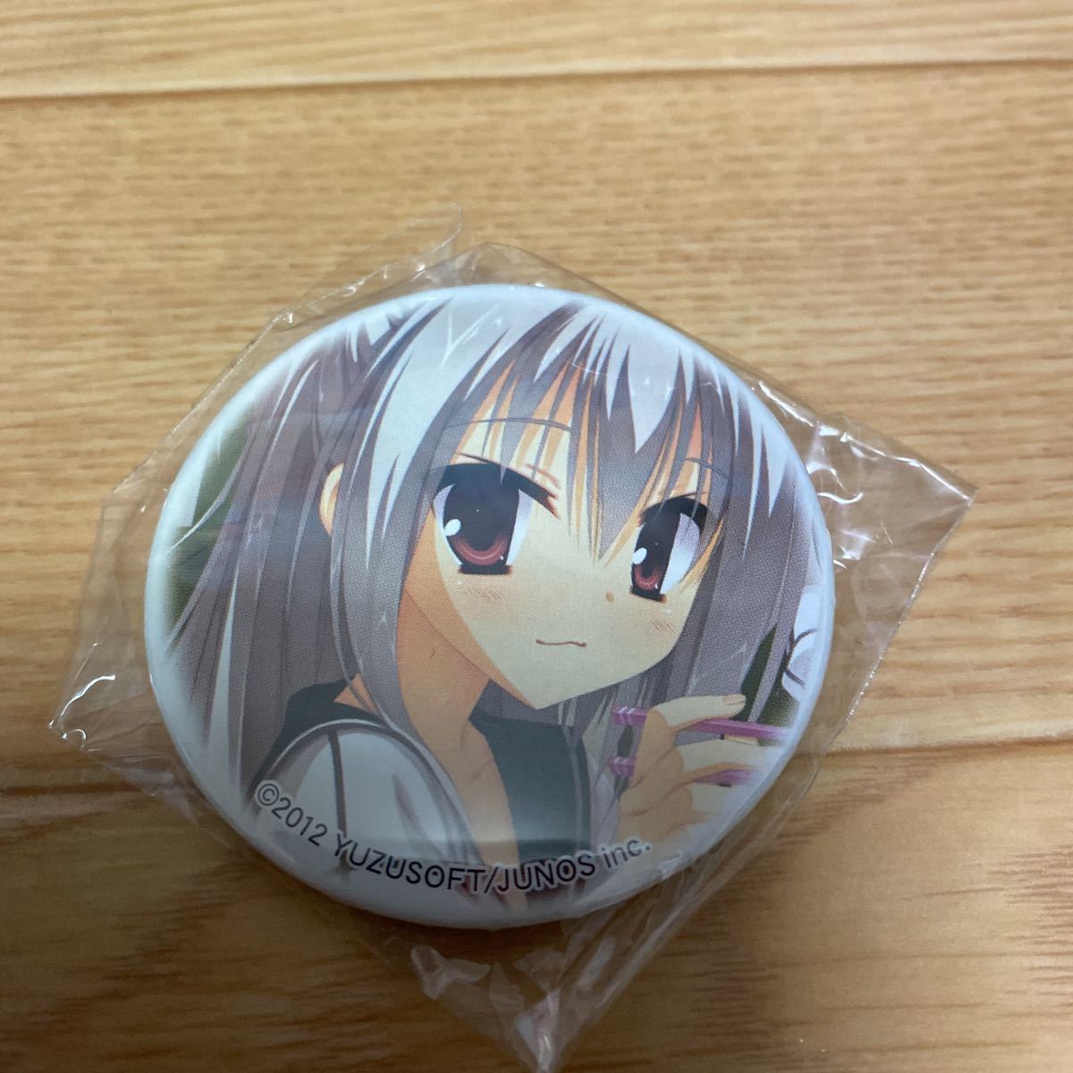 ゆずソフト DRACU-RIOT! エリナ ドラクリオット 缶バッジ こぶいち 