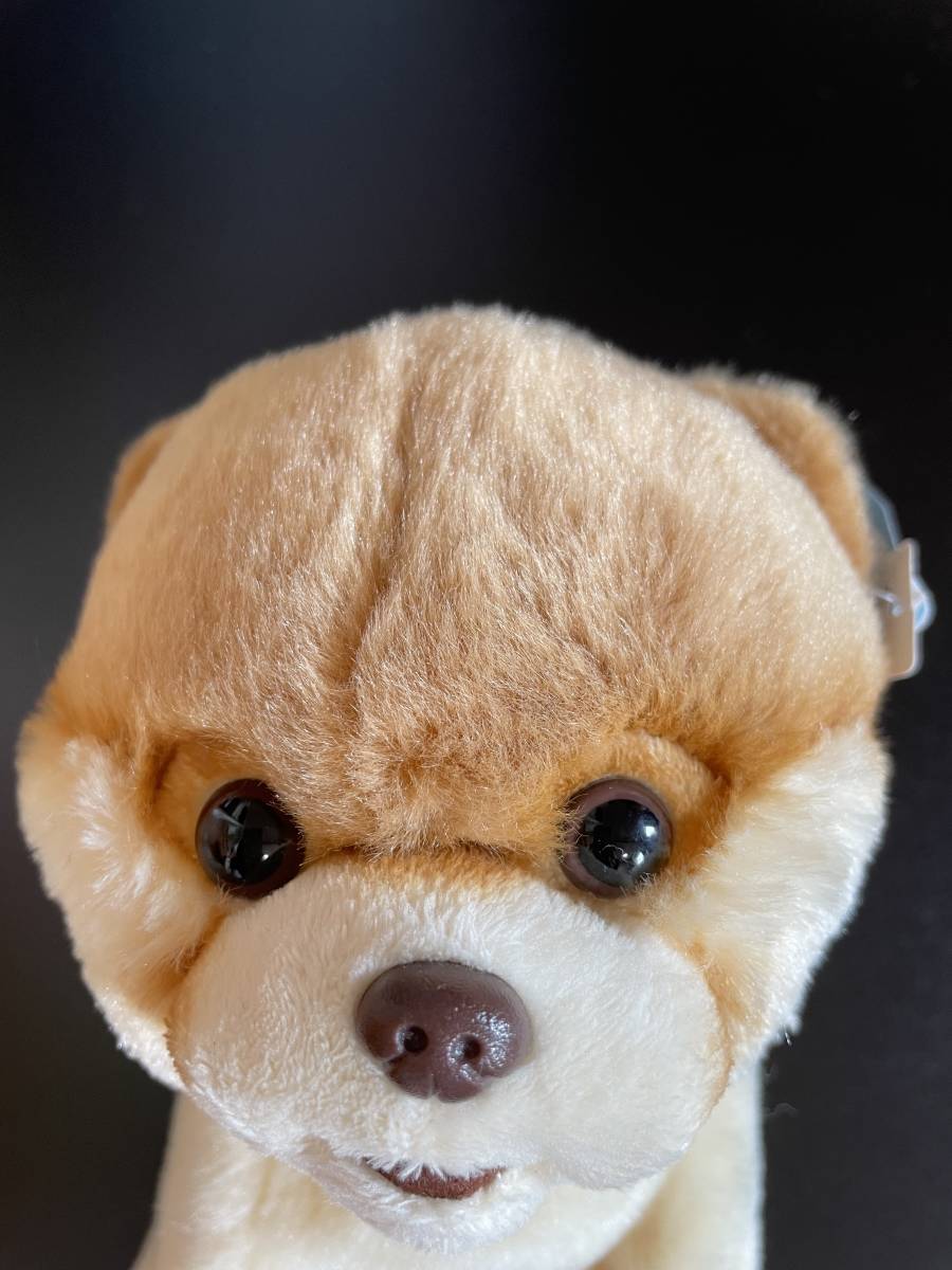 Boo Gund ポメラニアン 犬 ぬいぐるみミニバッグ イヌ一般 売買されたオークション情報 Yahooの商品情報をアーカイブ公開 オークファン Aucfan Com