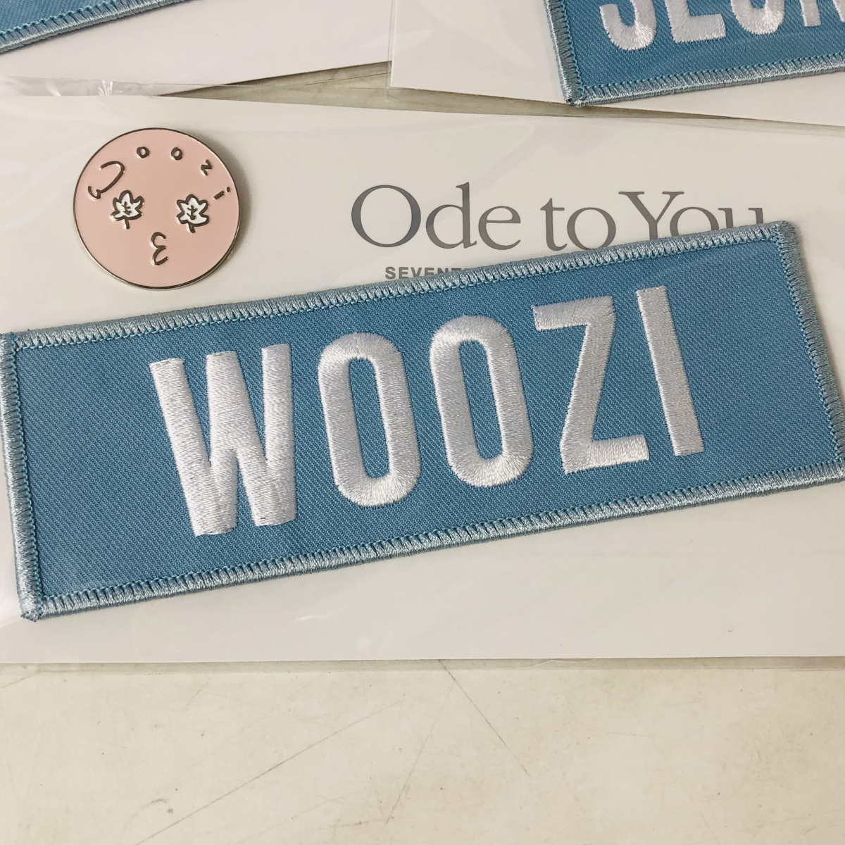 新品未開封 SEVENTEEN WORLD TOUR Ode to You IN JAPAN バッジセット