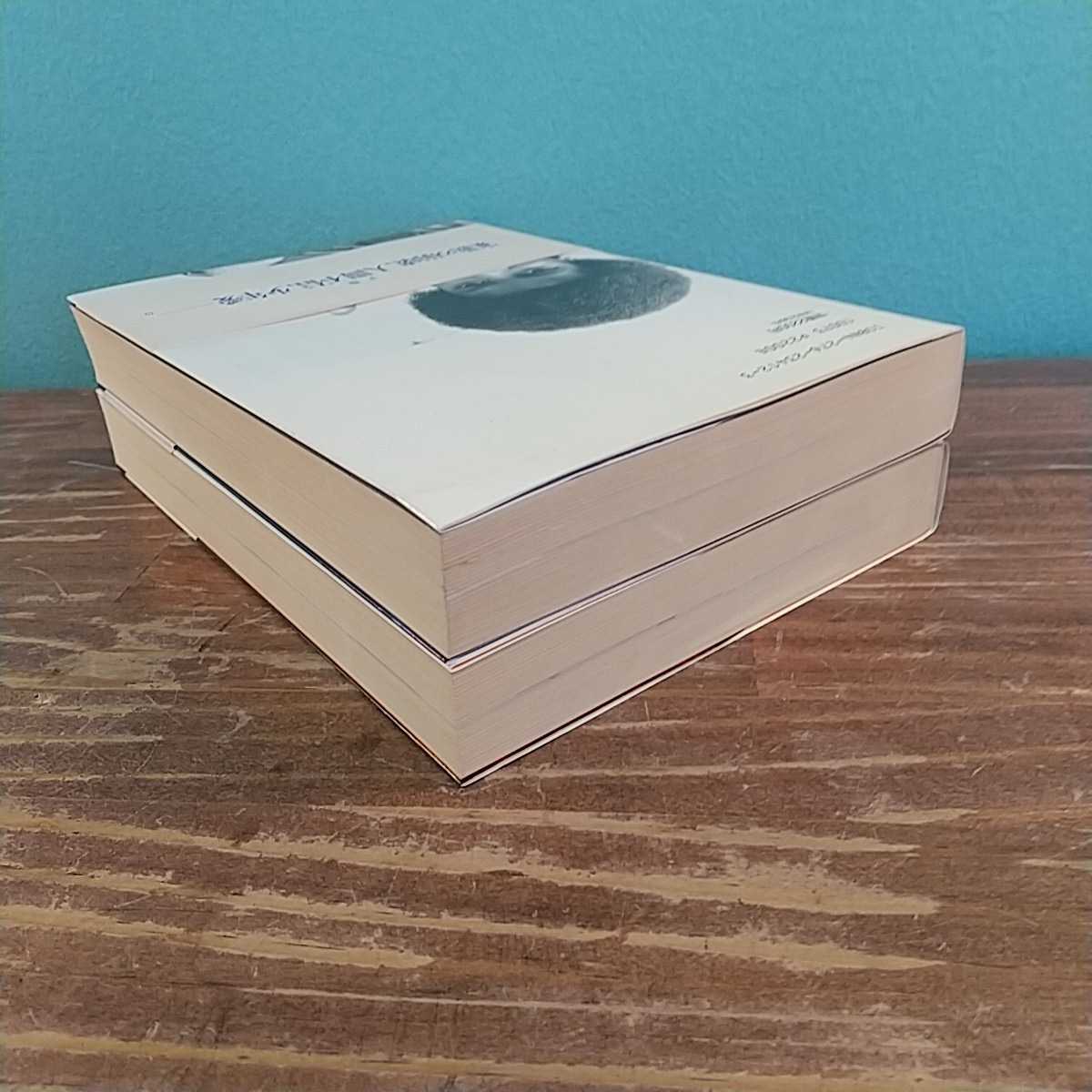 マイケルジャクソン マイケル・ジャクソンの真実 上下 2冊セット 小説 
