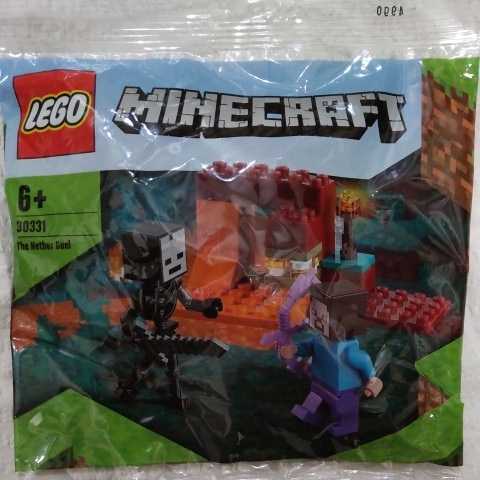 正規品 レゴ マインクラフト ミニパック スティーブ ウィザースケルトン Lego 売買されたオークション情報 Yahooの商品情報をアーカイブ公開 オークファン Aucfan Com