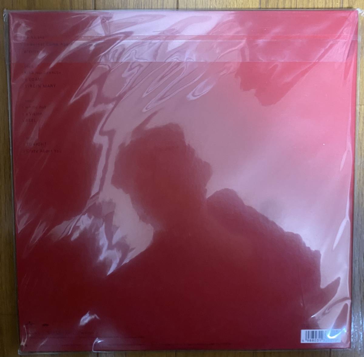 LUNA SEA/LUNACY LP レコード 2枚組 アナログレコード ルナシー 河村