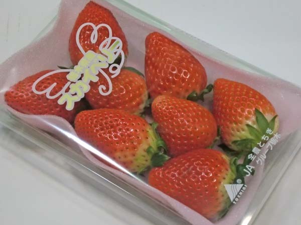 Good今季最終！大量5箱10パック入り！プレミアムいちご 栃木産『スカイベリー』 Good大量10パックお届け♪たっぷり5箱 野菜、果物  プレミアム G 新品種＜スカイベリー＞9粒～12粒 約450g1258709