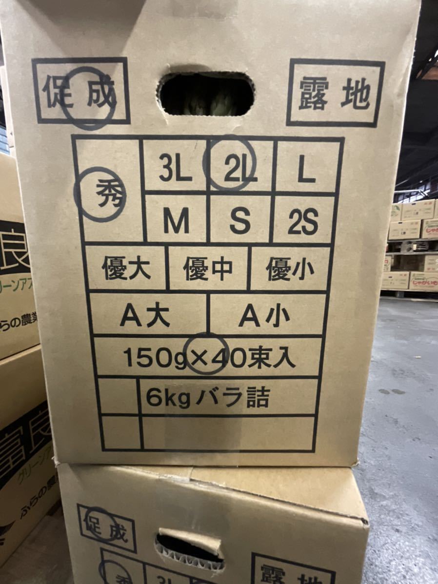 アスパラ　1.5キロ　北海道　富良野産　秀2L_2