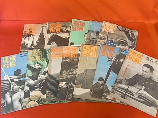 g1070819354.1