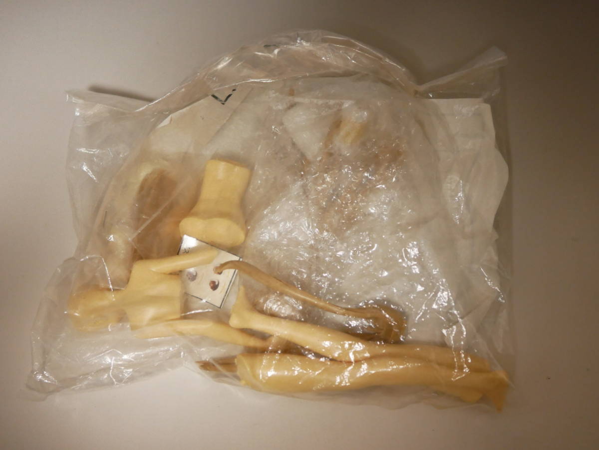 ワンフェス WF ガレージキット ガレキ T 