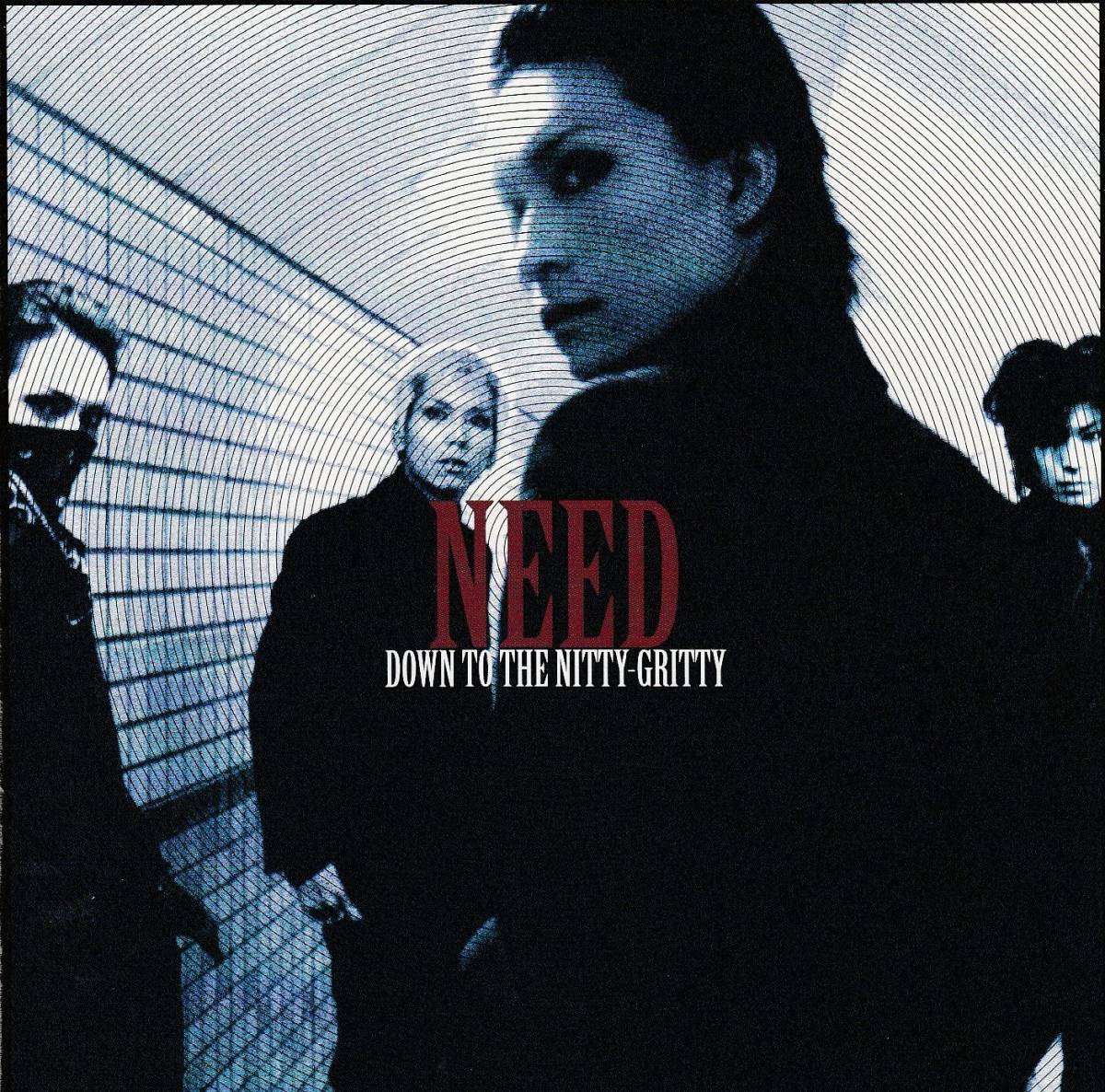 ヴィジュアル系 NEED CD2枚セット(インディーズ)｜売買された