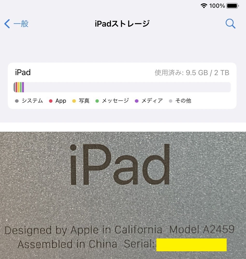 1円 Apple iPad Pro 11インチ 第3世代 2021モデル MHWF3J/A M1チップ