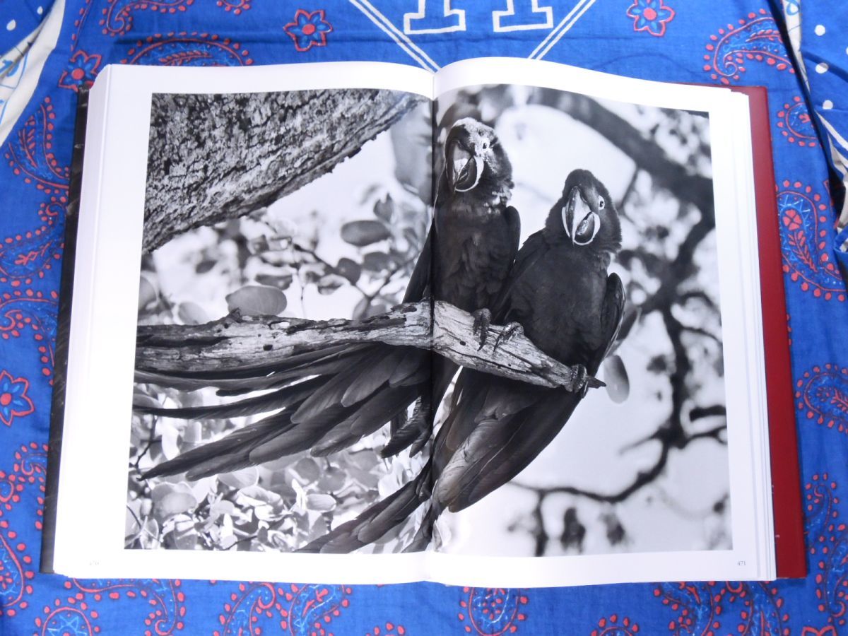 洋書 GENESIS Sebastiao Salgado セバスチャン・サルガド 写真集 別冊