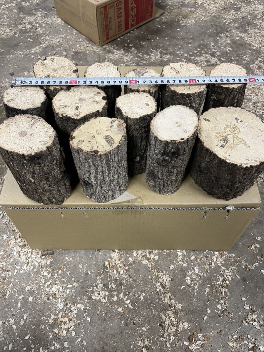 人気SALE，100%新品 クワガタカブトムシ産卵木 椎茸クヌギ 1円スタート 12本 直径10cm程度 長さ14cm程度(止まり木、ほだ木)｜売買されたオークション情報、yahooの商品情報をアーカイブ公開 - オークファン 止まり木、ほだ木