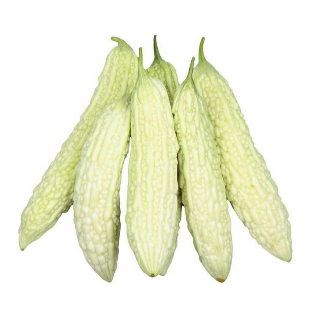 ３粒 苦み少ないサラダ白ゴーヤ マイルドホワイト 品種 一代交配 グリーンカーテンにも 開花後15 日収穫可能 送料73円 野菜 売買されたオークション情報 Yahooの商品情報をアーカイブ公開 オークファン Aucfan Com