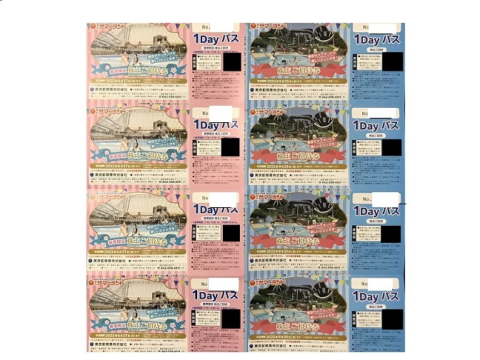 サマーランド 株主優待1冊 東京サマーランド（東京都競馬）の株主優待