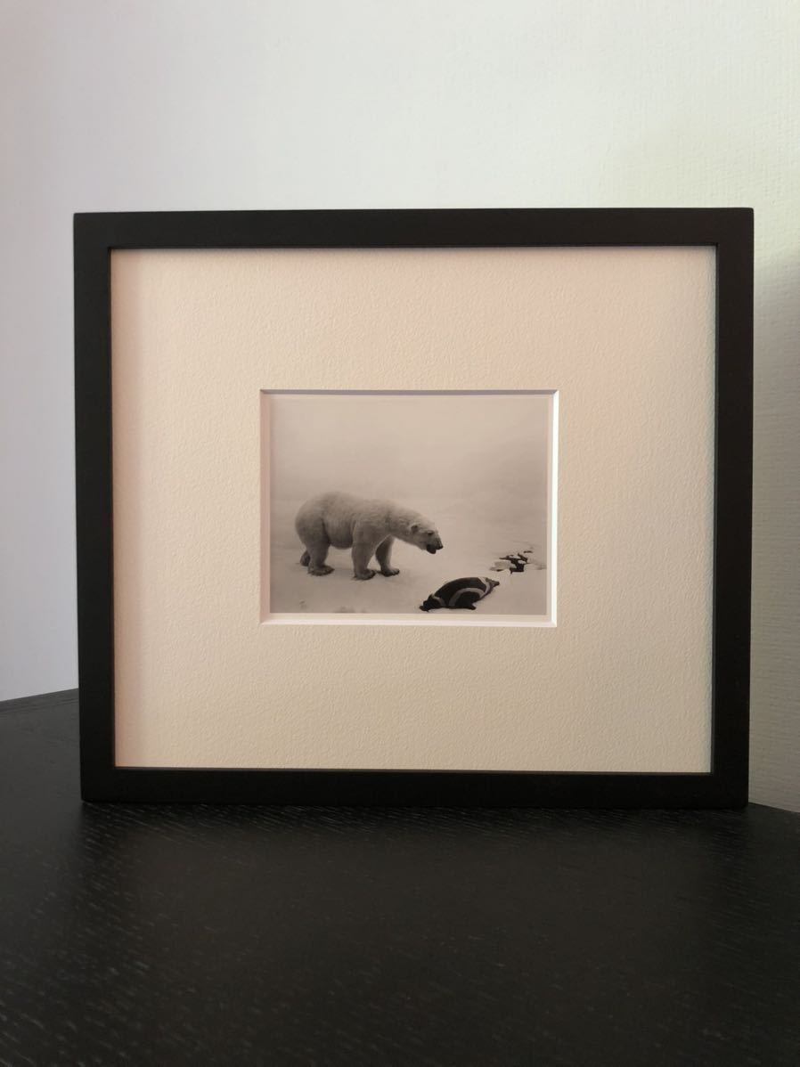 シロクマ Sugimoto 杉本博司 Bear - (poster)|杉本博司Hiroshi