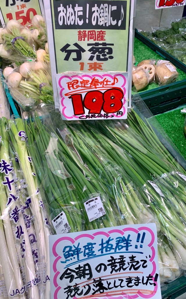 わけぎ 分葱 １０鉢 穴 分の２0個 球根 鱗茎玉 水耕栽培のおすすめ 300スタート 野菜 売買されたオークション情報 Yahooの商品情報をアーカイブ公開 オークファン Aucfan Com