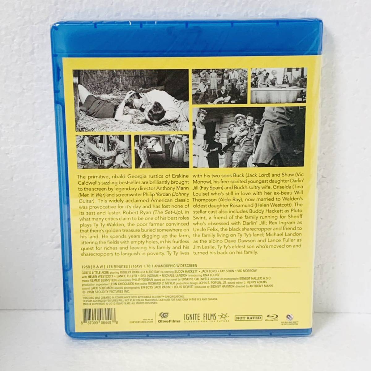 海外版 廃盤 神の小さな土地 真昼の欲情 リージョンコード記載なし  