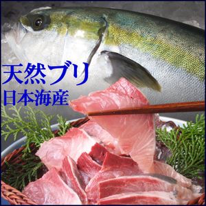 天然ブリの値段と価格推移は 11件の売買情報を集計した天然ブリの価格や価値の推移データを公開