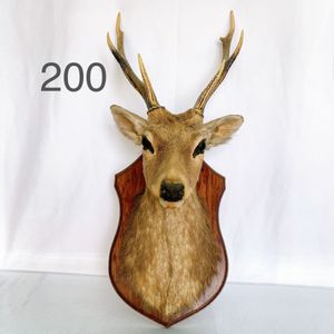 鹿 剥製のヤフオク の相場 価格を見る ヤフオク の鹿 剥製のオークション売買情報は24件が掲載されています