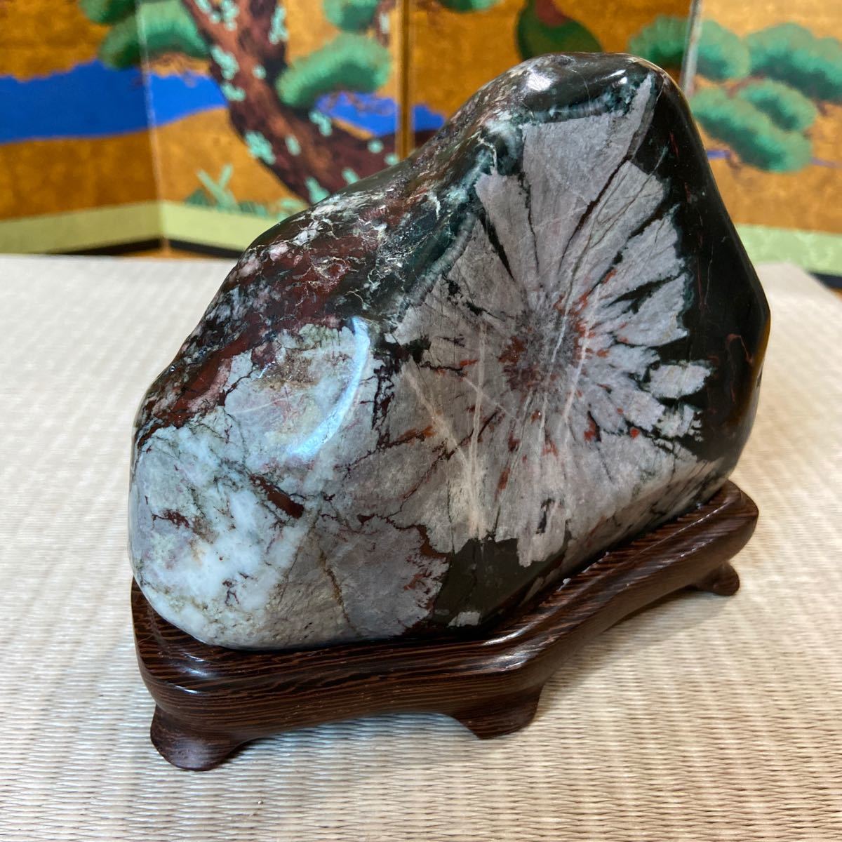 菊花石　鑑賞石　盆栽 菊花石 鑑賞石 盆栽 【公式通販】