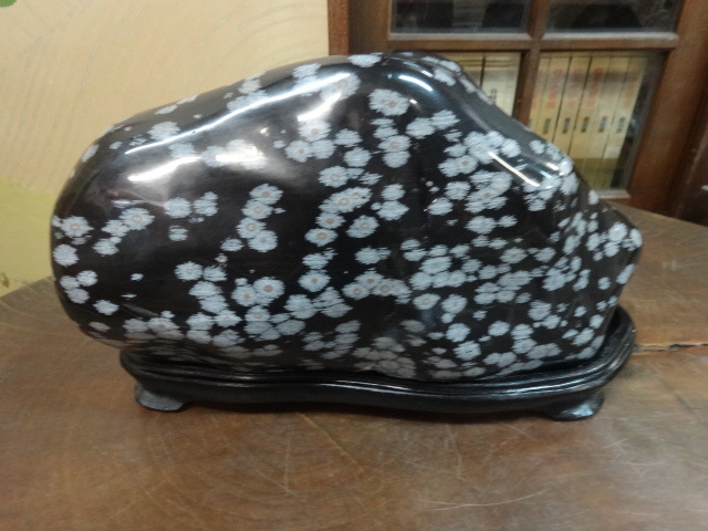 鑑賞石 菊花石？ 27×18×14 6.5kg 台座付 【公式通販】