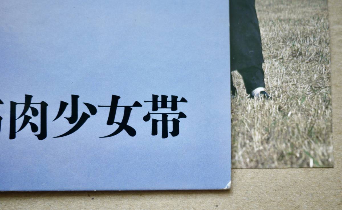 LP☆筋肉少女帯 / Sister Strawberry 美盤 PROMO見本盤 1988年希少 