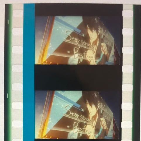 Free! コマフィルム　遙 コマフィルム Free! 劇場版 Final 七瀬遙 Free!-the 『劇場版 | 橘真琴