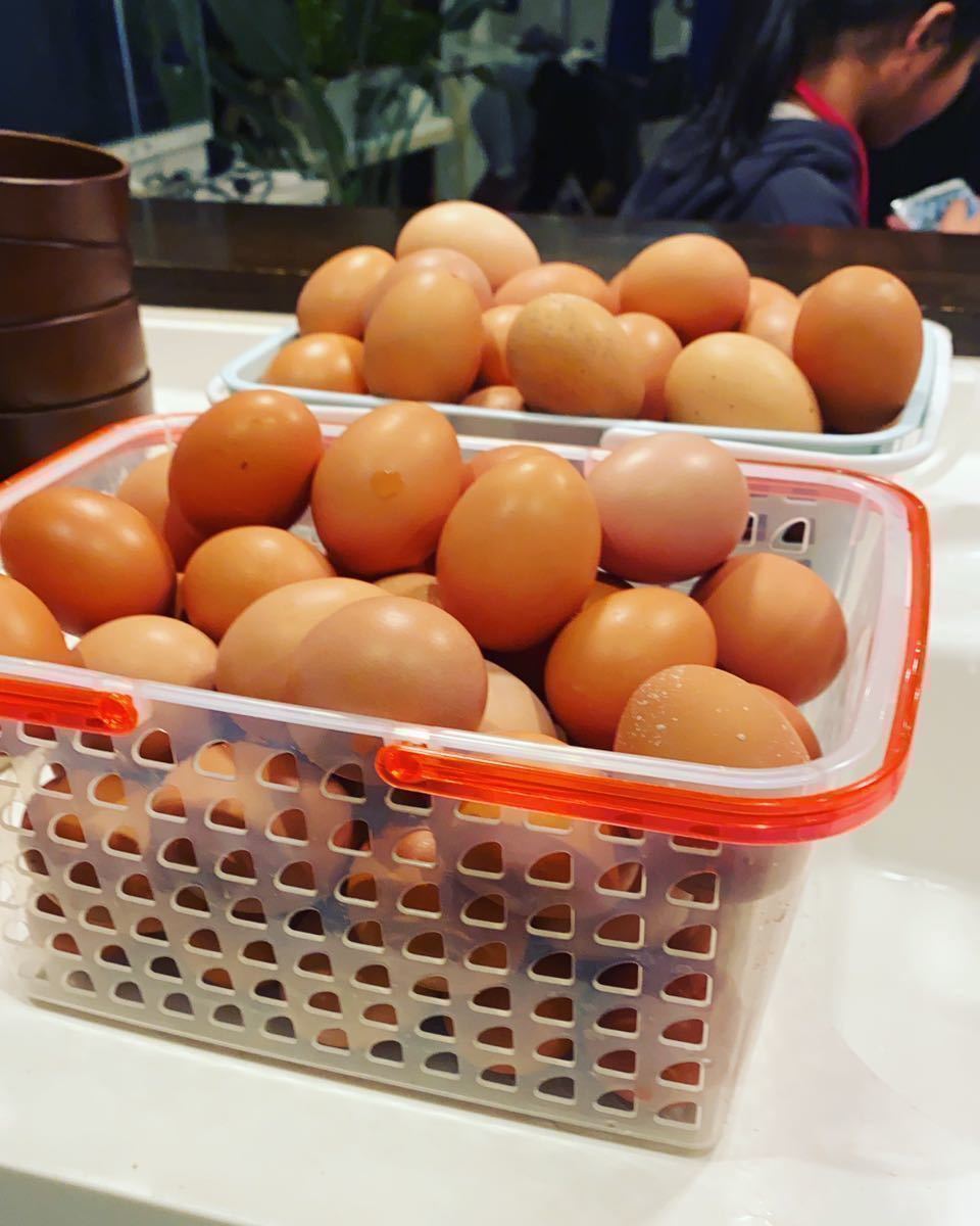 岡崎おうはん放し飼い有精卵20個_8