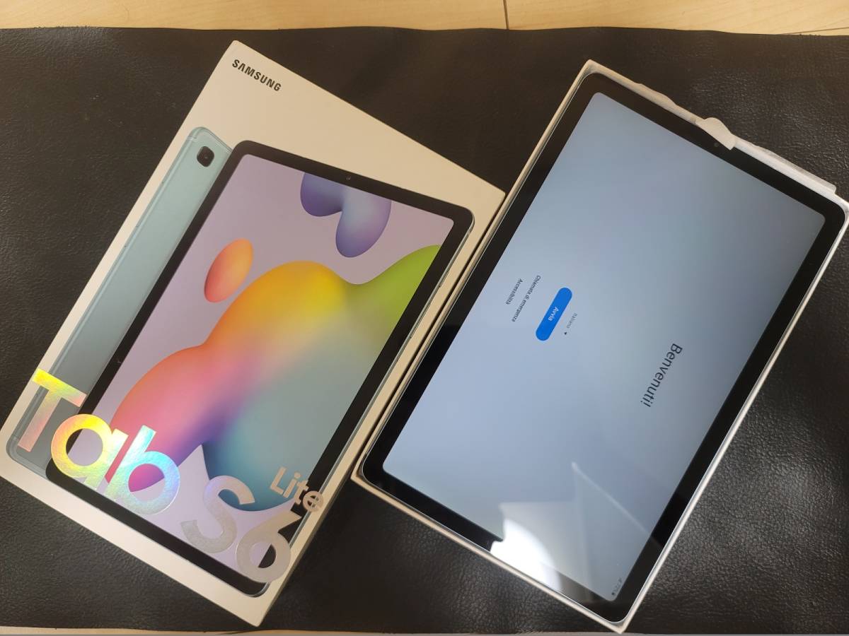 超豪華おまけあり】Samsung Galaxy Tab S6 Lite 10.4