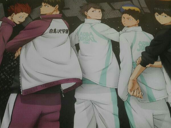 ハイキュー ポスターコレクションの値段と価格推移は 44件の売買情報を集計したハイキュー ポスターコレクションの価格や価値の推移データを公開