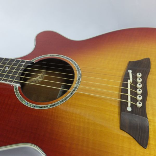 sy0718【170】【未使用・美品】Takamine タカミネ DSP116A FCB