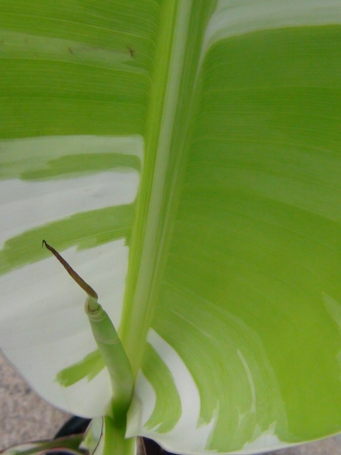j1058563181.1