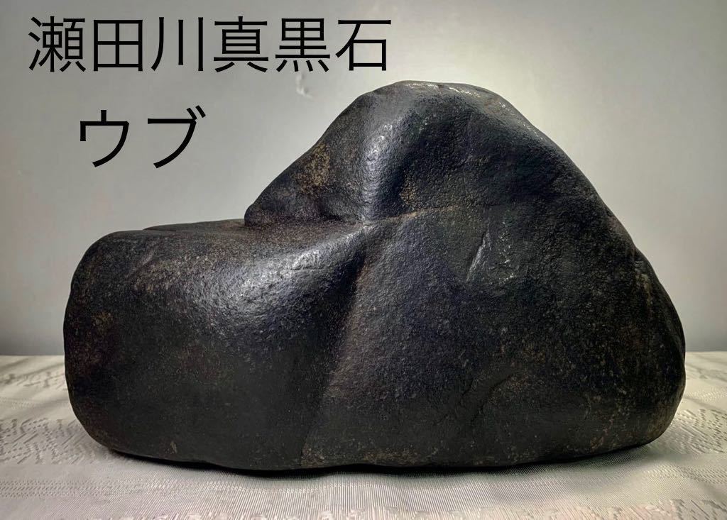 水石 信濃美術石博物館 太湖石 オールドコレクション 中国 天然石 山石